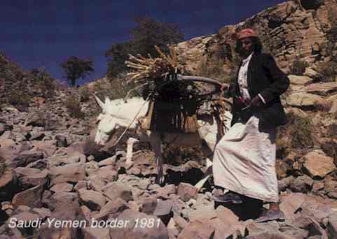 Saudi-Yemen border 1981