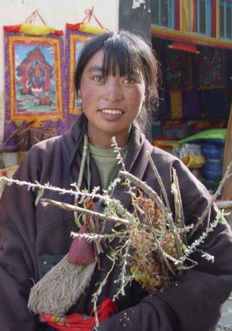 ct-dw-Shy-in-Shigatse.jpg (197763 bytes)