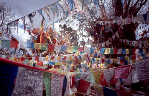 Besides releasing prayers, the flags are said to purify the air and pacify the gods.