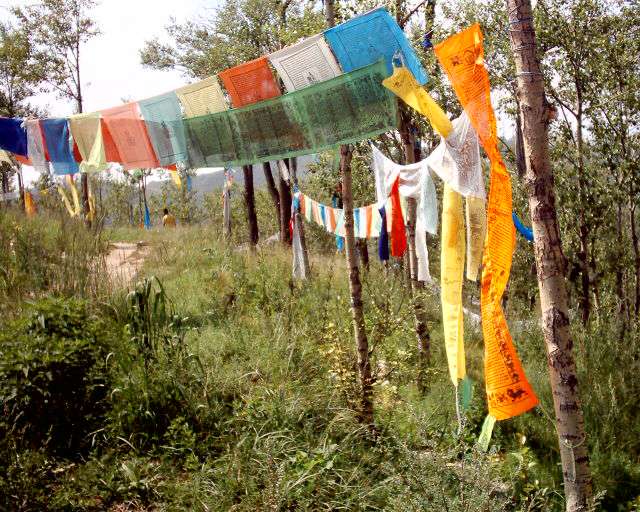 mb-colourful proaye flags at TiSu Temple.jpg (86657 bytes)