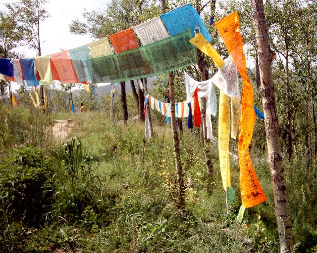 mb-colourful proaye flags at TiSu Temple.jpg (86657 bytes)