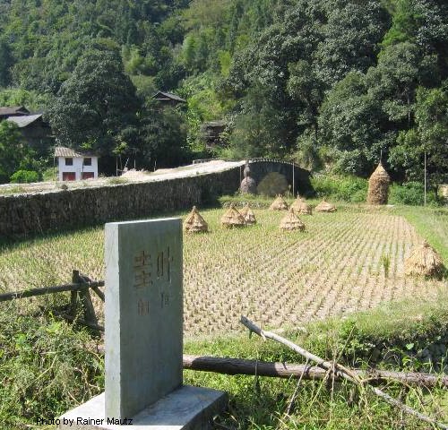 Bridge to the village Guiye