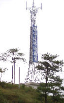 wp68a3315d.jpg