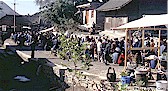 marketdayt.jpg