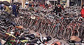 parkingt.jpg