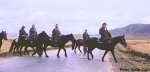 tibetanhorsest.jpg