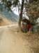 Photo Number 7