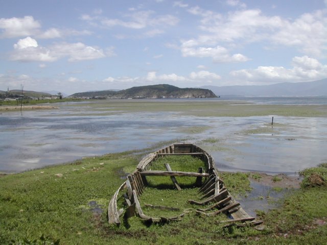 Photograph