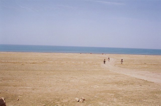 Lake Qinghai, traditional halfway point between Tibet/Mongolia. Locals comming to teregate....