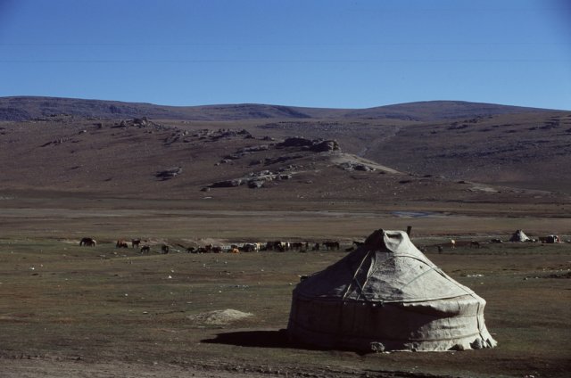 Yurt and horses. I imagine the Mongols breaching the ridges and yurt dwellers, like these scuttling about in fear.