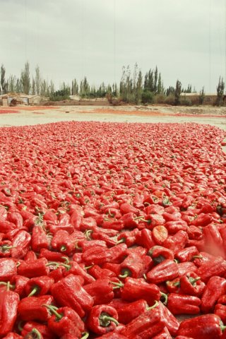 Drying red peppers. Roadsides were full of them and they could be pleasantly smelt far off.