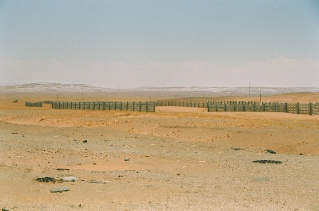 I assumed these were tundra fences to slow the winter sweep.